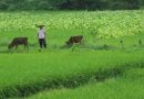 Hiking in Mt Guanzhai, Fujian