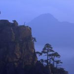 Mt Huangshan: Sea of Cloud, Pine Trees and Rocks