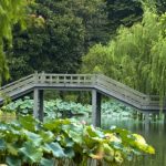 Hangzhou: The Heavenly City