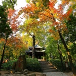 Autumn in Suzhou