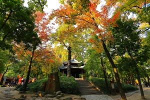 Suzhou Taipingshan