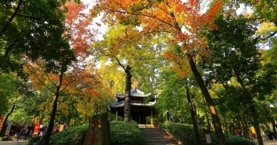 Suzhou Taipingshan