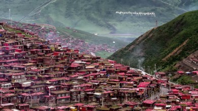 A Sea of Red in Larung Gar Buddhist Academy, West Sichuan