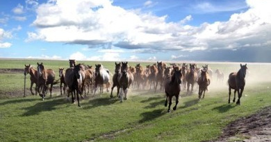 Hulunbuir