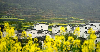 Wuyuan